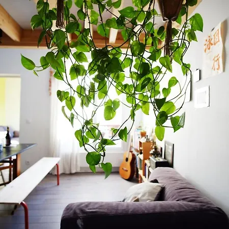 Appartamento Quiet Atypical - Near The Garden *